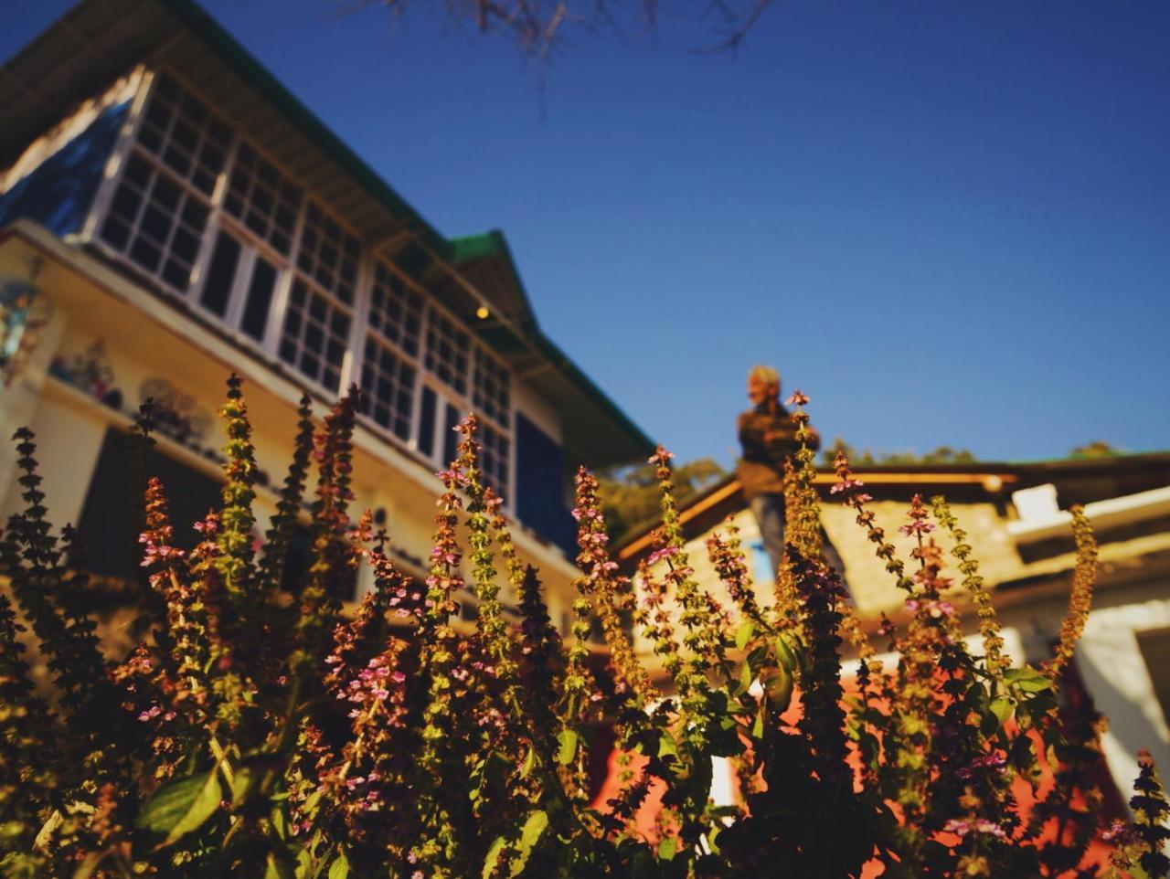 Vista Hostel Jeolikote, Nainital Patwa Dunga Exterior photo